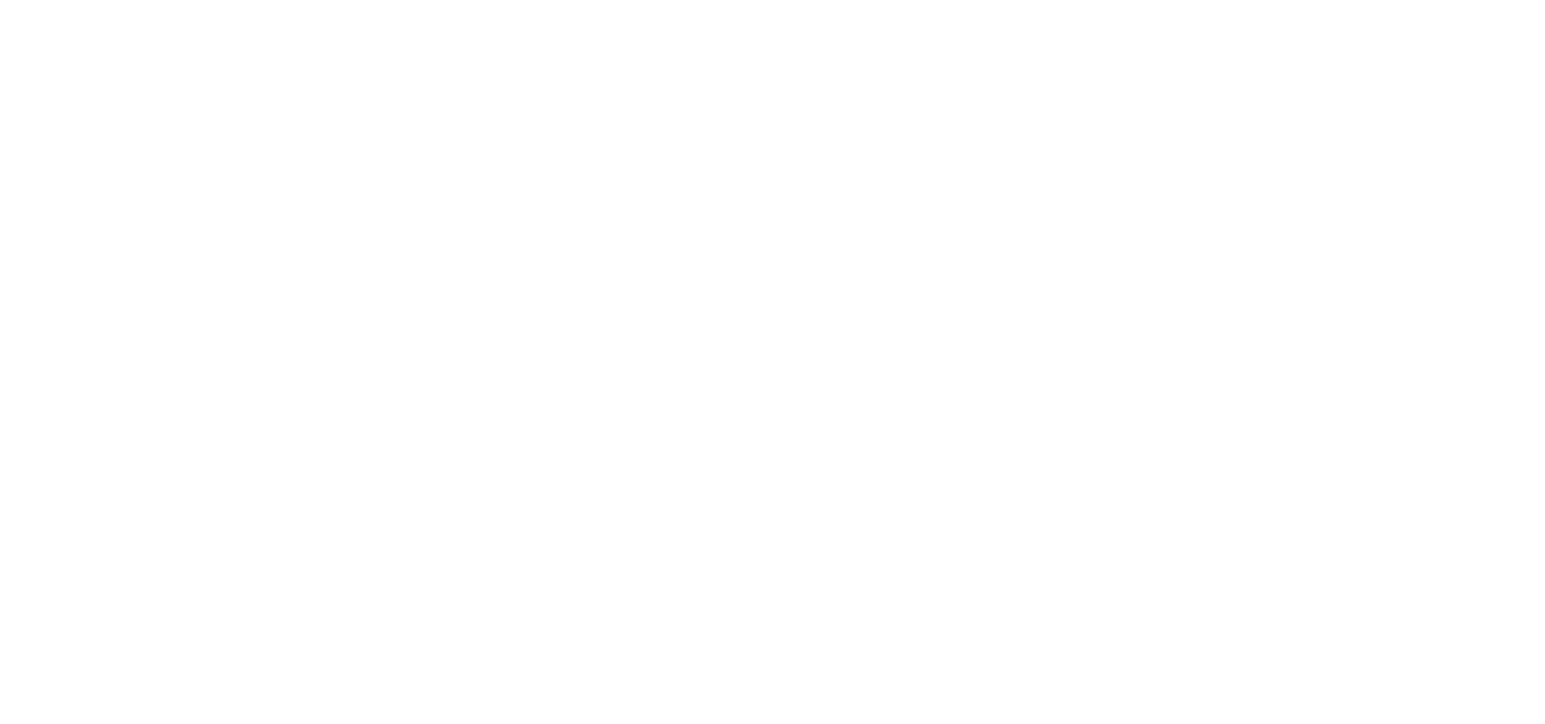 Rogo, an Eintech innovation