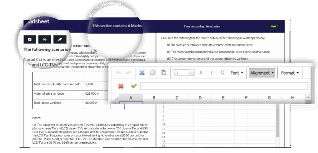 A screen shot of the Rogo Spreadsheet question type with some elements highlighted.